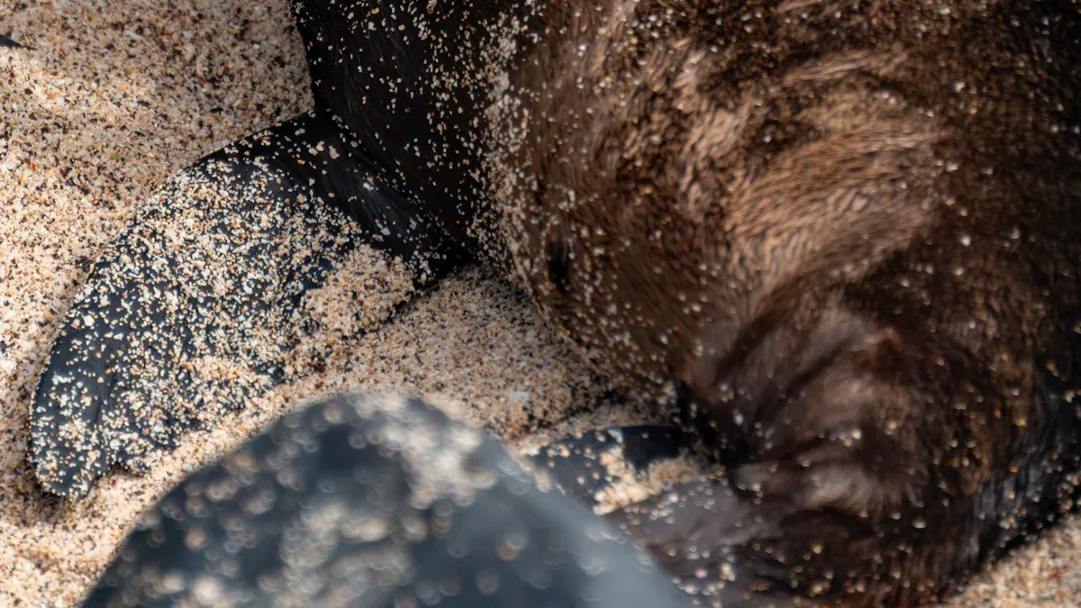 Understanding the Dual Threat: Abrasion and Corrosion in a Harsh Environment