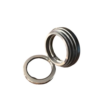 Counterface GCS mechanical seal for laundry machine grandimpianti